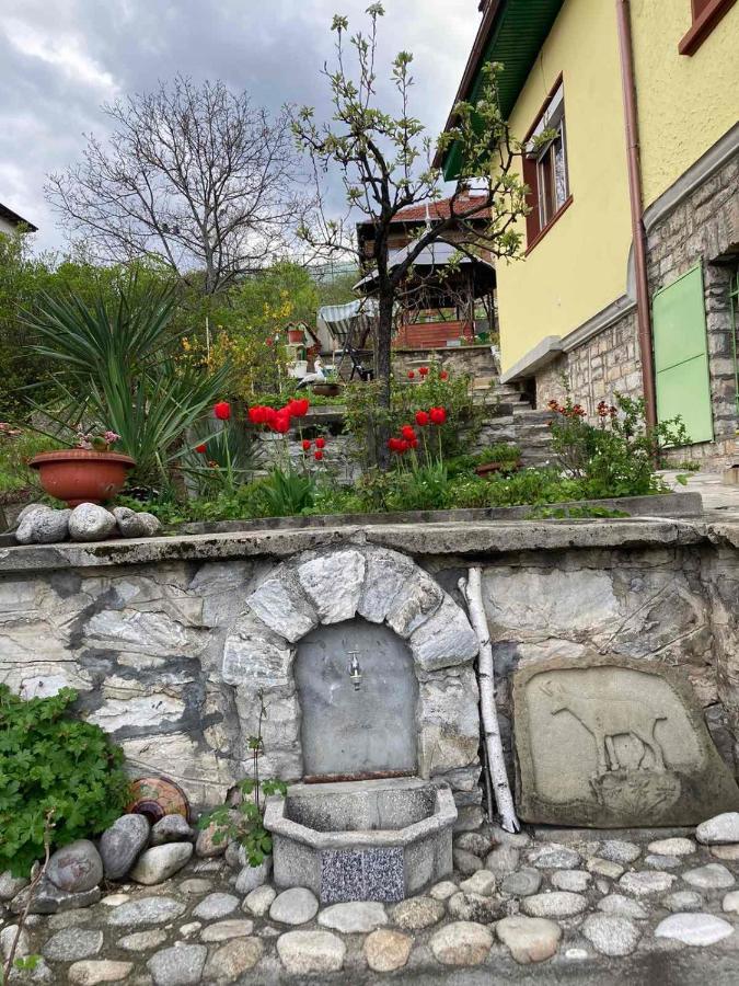 Vila Venera Velingrad Buitenkant foto